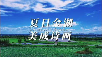 夏日金湖，美成诗画。