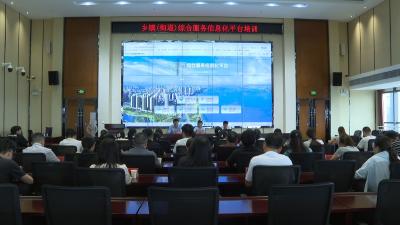 枝江市召开专题培训会 赋能基层服务信息化