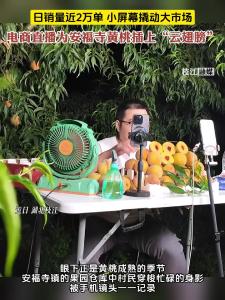 日销量近2万单，小屏幕撬动大市场，电商直播为枝江安福寺黄桃插上“云翅膀”。