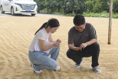 市公共检验检测中心开展2025年收购粮食质量安全监测工作