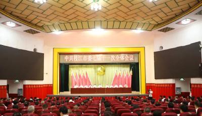 中共枝江市委七届十一次全体会议举行