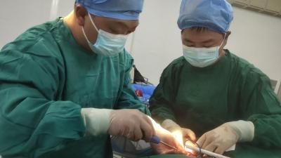 医共体帮扶结硕果 百里洲镇卫生院成功救治锁骨骨折患者