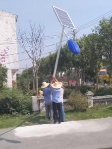 李家岗村：安装路灯暖人心 照亮村民出行路
