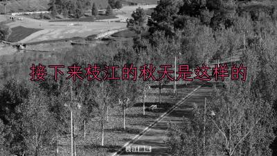 接下来的几个月，枝江是这样的