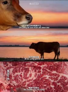 枝江的外面是什么？你不用告诉我，我走不出枝江