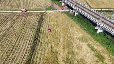 董家湾村生态农业新模式造就“三方共赢”