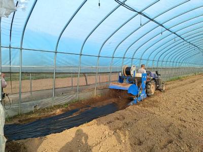 沙碛坪村：土地入股“聚零为整” 红薯产业“旧地新耕”