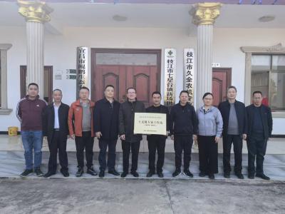 科技“沉”田间！ 硬核助力“菜篮子”提质增收