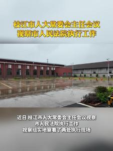 近日，枝江市人大常委会主任会议视察市人民法院执行工作