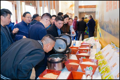 【湖北日报】2025“江汉大米·枝江玛瑙米”客户论坛在枝江举办 签约订单总量超4万亩