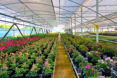 枝江这家企业获批成立2025年“湖北省博士创新站”