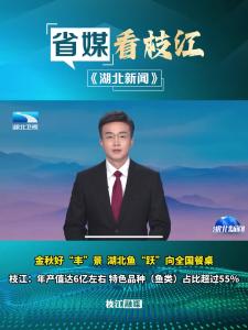 ​10月8日晚，湖北新闻报道枝江：渔业年产值达6亿左右 特色品种（鱼类）占比超过55%