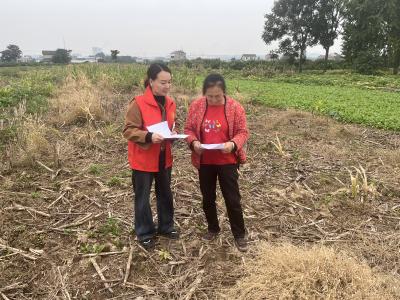 石半坡村：开展秸秆禁烧宣传 筑牢生态环保防线