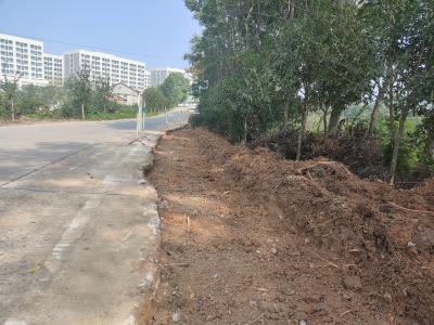 石半坡村：镇村联动解民忧 扩路护安促民生