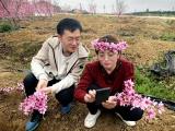 【学习强国】70后“蚊子书记”和00后助理搭档卖黄桃