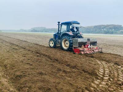 马羊洲村：人勤秋播忙 良田绘“丰”景