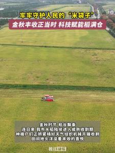 ​牢牢守护人民的“米袋子”！枝江金秋丰收正当时 科技赋能稻满仓！