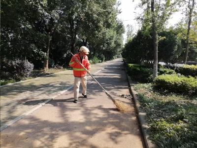 秋风扫落叶 环卫守温情