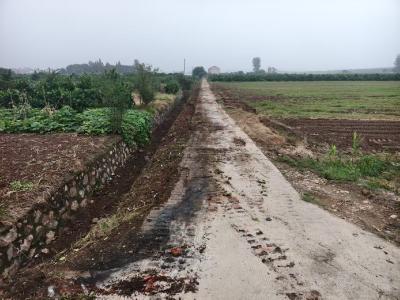 同济垸村：秋忙清淤保畅通 村委会实干保民生