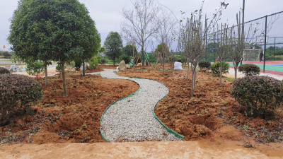 蔡家溪村：闲地添绿意 环境更靓丽