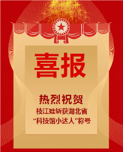 喜报！热烈祝贺枝江娃获湖北省“科技馆小达人”称号！