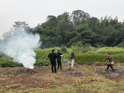 青龙山村：干群同心护蓝天 秸秆禁烧显担当