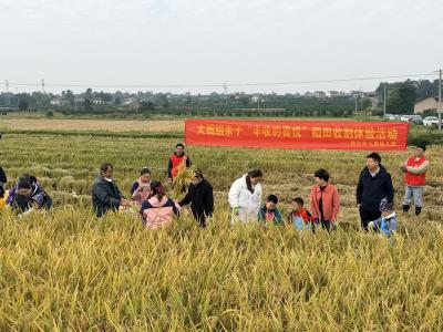 稻穗映童心 劳动暖深秋