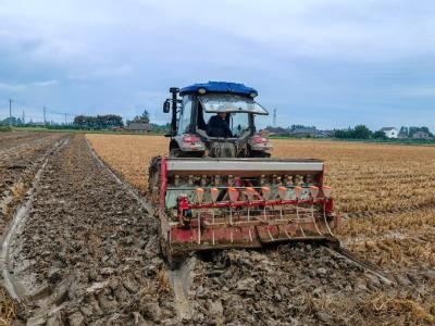书院坝村积极推进冬油菜播种与秸秆禁烧工作