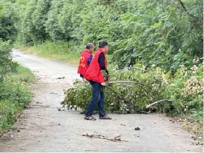 七里冲村开展道路树枝清障 守护乡村出行安全通道