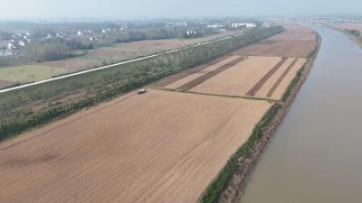 枝江：抢抓晴好窗口期 全力推进秋播生产