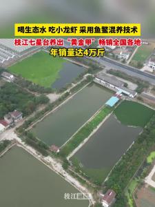 枝江七星台养出“黄金甲”畅销全国各地 ！年销量达4万斤