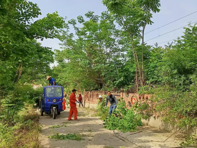 白鹤冲村组织开展环境卫生整治活动