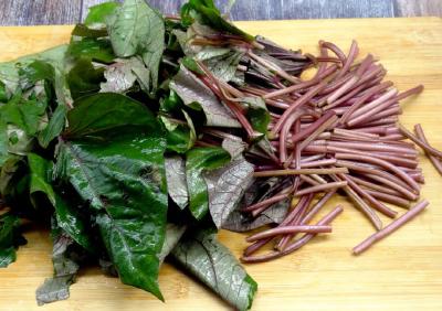 营养价值超高！这种“长寿菜”，建议你多吃