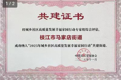 枝江市马家店街道被成功纳入全国“幸福家园行动”共建街道