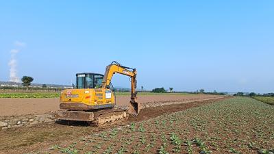 产业路通到田间地头 沙碛坪村“甜蜜事业”更红火