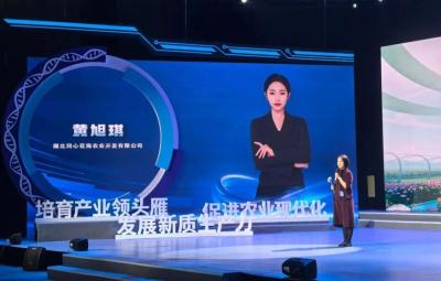 同心花海获省级奖项