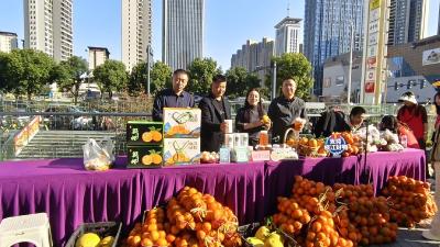 顾家店镇联村共建活动走进宜昌古塔街道竹涛山社区