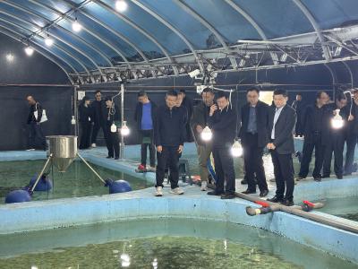 方明柱带队调研枝江水产产业链 擘画全链条升级新路径