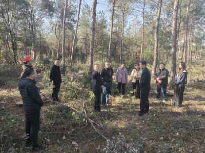 枝江开展森林可持续经营现场培训