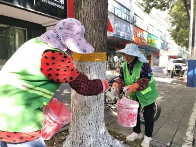 穿上“白棉袄”！枝江树木防寒防虫迎寒冬