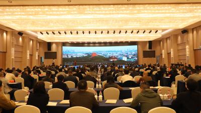 2025年度全省全域国土综合整治现场交流会在枝江举行