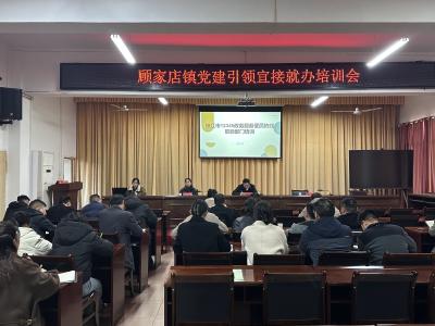 顾家店镇：党建引领强服务 培训赋能提质效