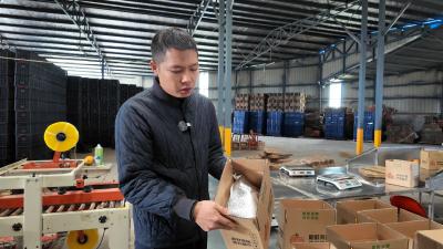 杨路：从都市程序员到乡村电商带头人 助力枝江果蔬远销全国