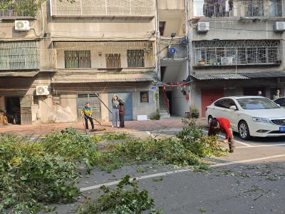 修剪高空枯枝 社区业委会联手消除安全隐患