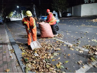 市城管局开展“突击大落叶”专项清理行动