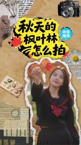 秋天的枫叶林怎么拍？来枝江东方年华解锁你的秋日大片吧！