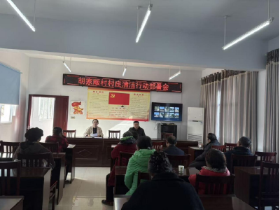 胡家畈村：干群齐动手 村庄焕新颜