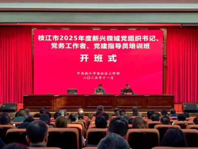 枝江市2025年度新兴领域党组织书记、党务工作者、党建工作指导员培训班举行