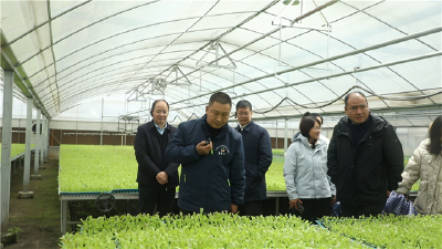 全省蔬菜产业交流培训班在枝江举办