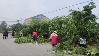 紫荆岭社区开展沿路树枝修剪工作